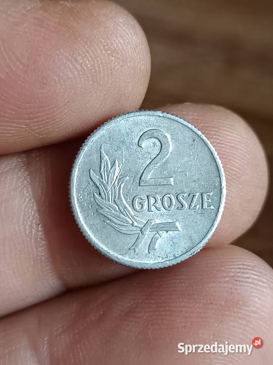 Sprzedam 2 grosze 1949 xxxx Chełm