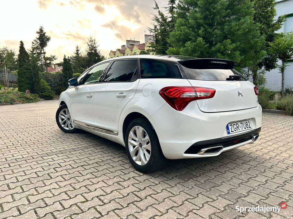 DS 5 20 BlueHDI Panorama Alcantara Navi Super zachodniopomorskie Szczecin