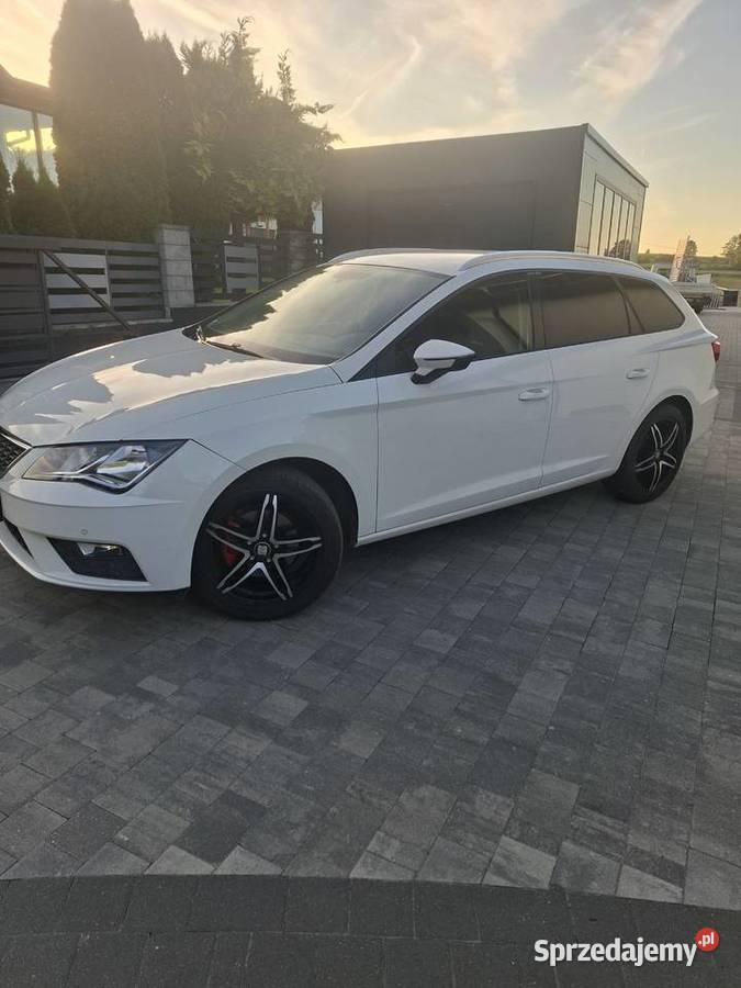 Seat Leon Zwiernik