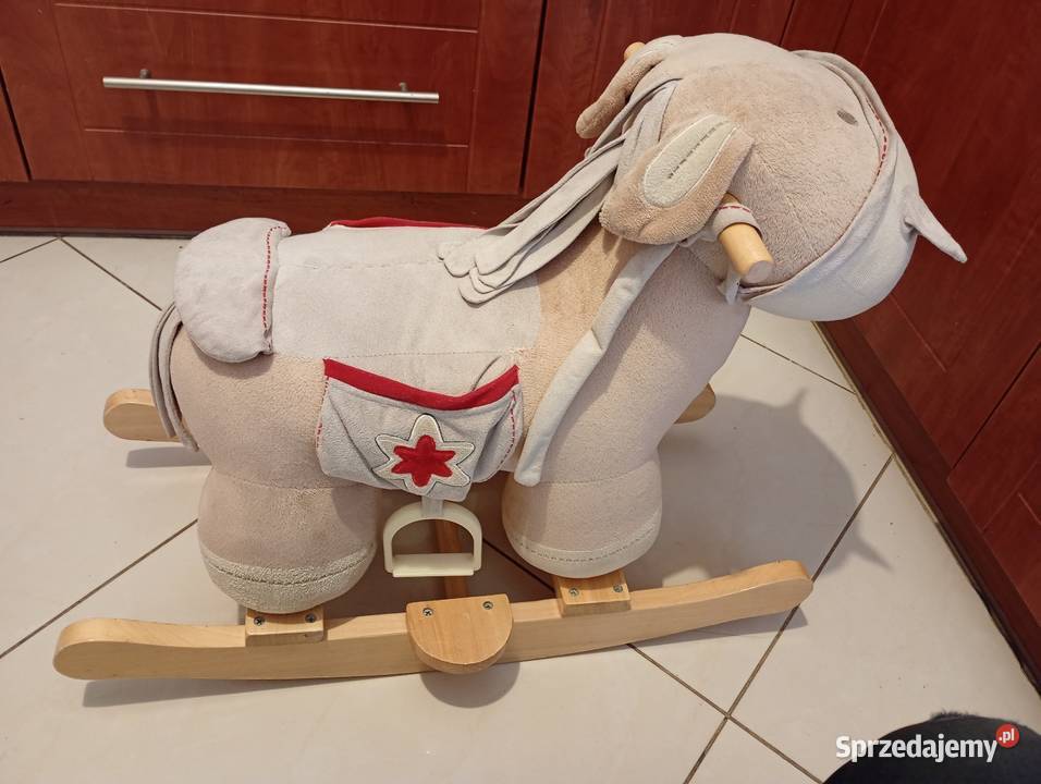 Konik na biegunach małopolskie Kraków