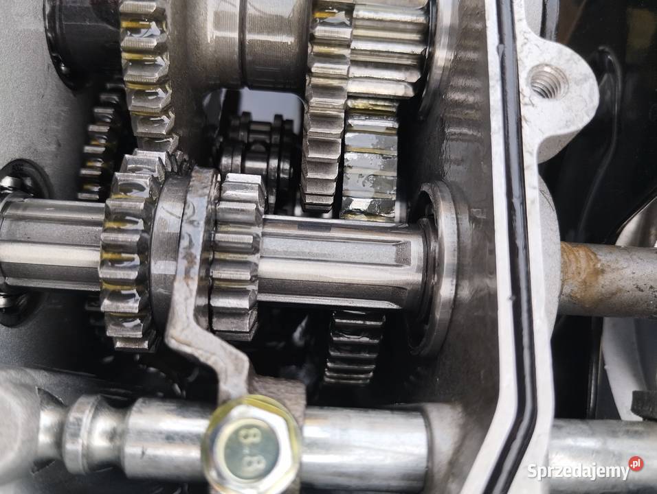 Glebogryzarka Bertolini 205 S Glebogryzarki lubelskie