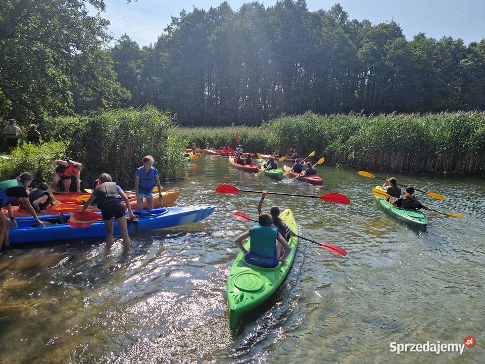 Spływy Kajakowe Czarna Hańcza u Strażaka Maćkowa Ruda