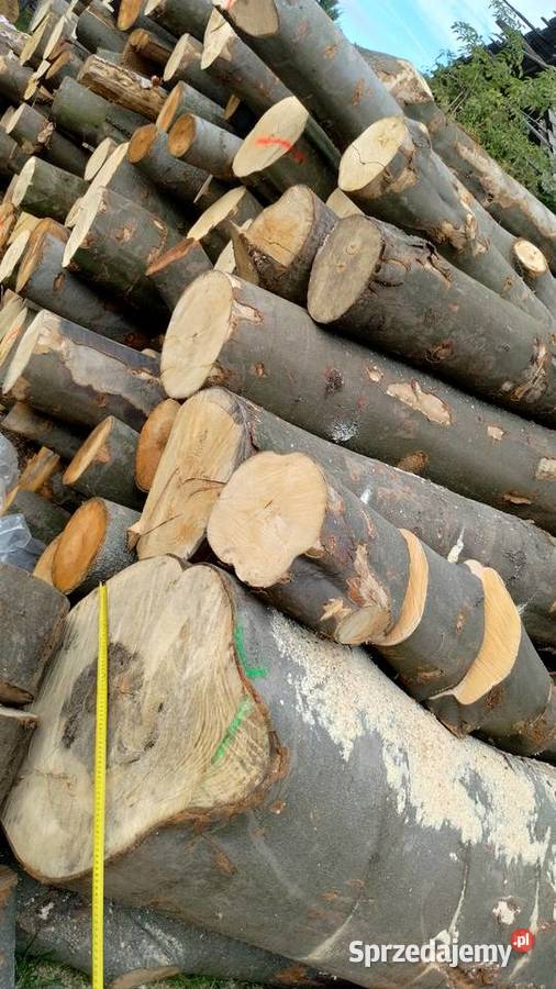 Drzewo drewno opałowe kominkowe rozpałkowe Opał Koziegłowy sprzedam