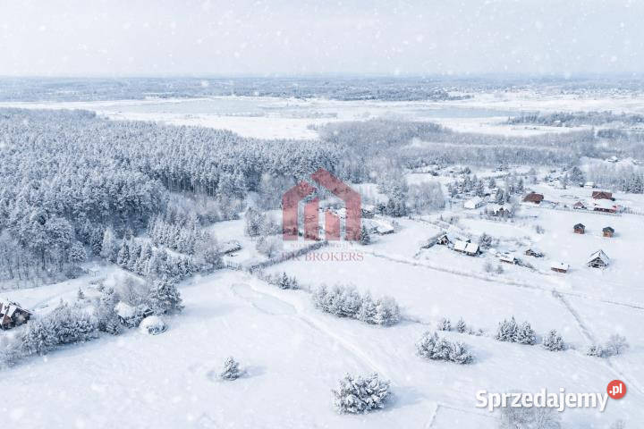 sprzedaży działki Krzywa 3100m2 budowlana sprzedam