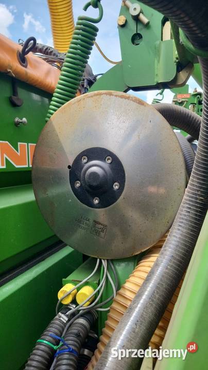 Siewnik kukurydzy Amazone ED 602K talerzowy 8 Amazone Bielsk Podlaski