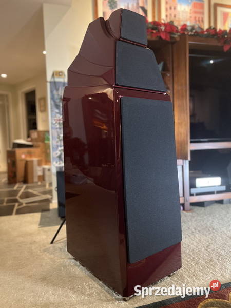 Wilson Audio Alexia Car audio Polskie Stwolno