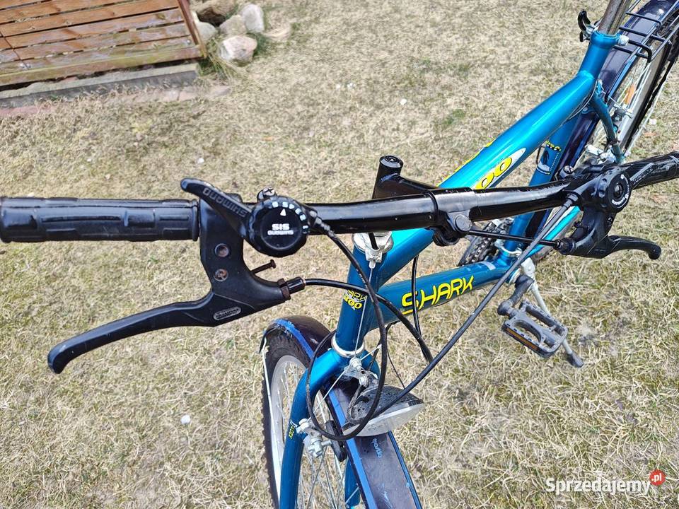 Rower męski i damski Shark