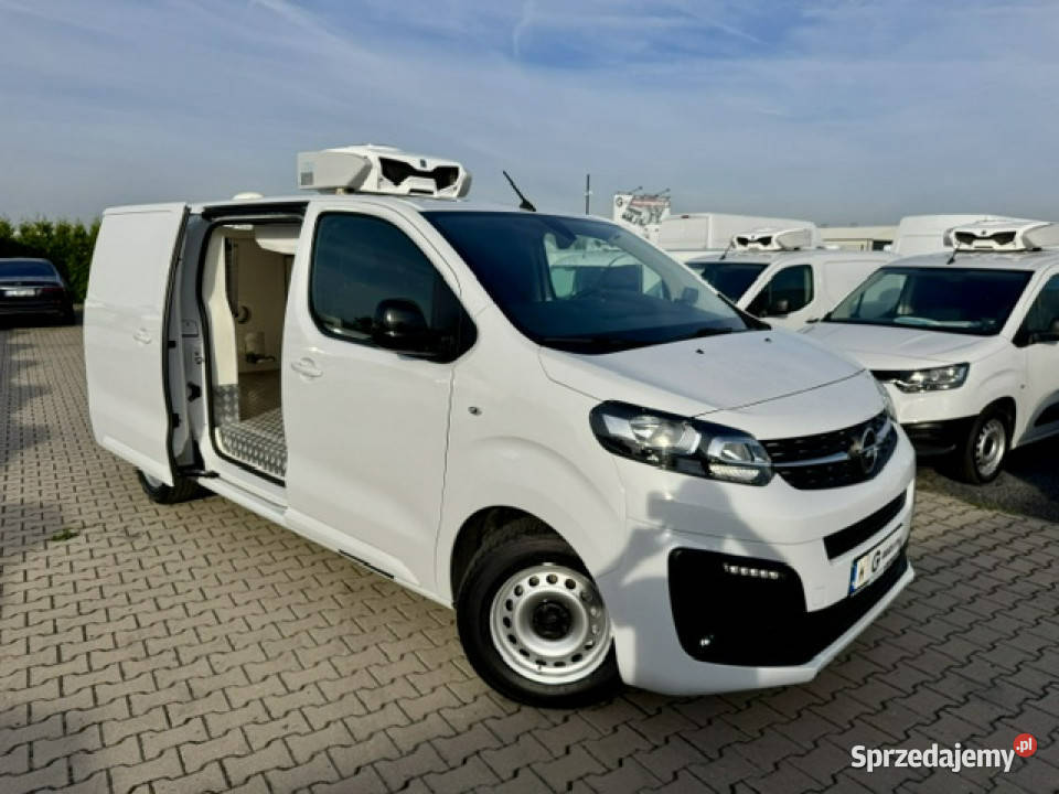Opel Vivaro SALON CHŁODNIA MROŻNIA 20stC 20145 2000cm3 Leszno sprzedam