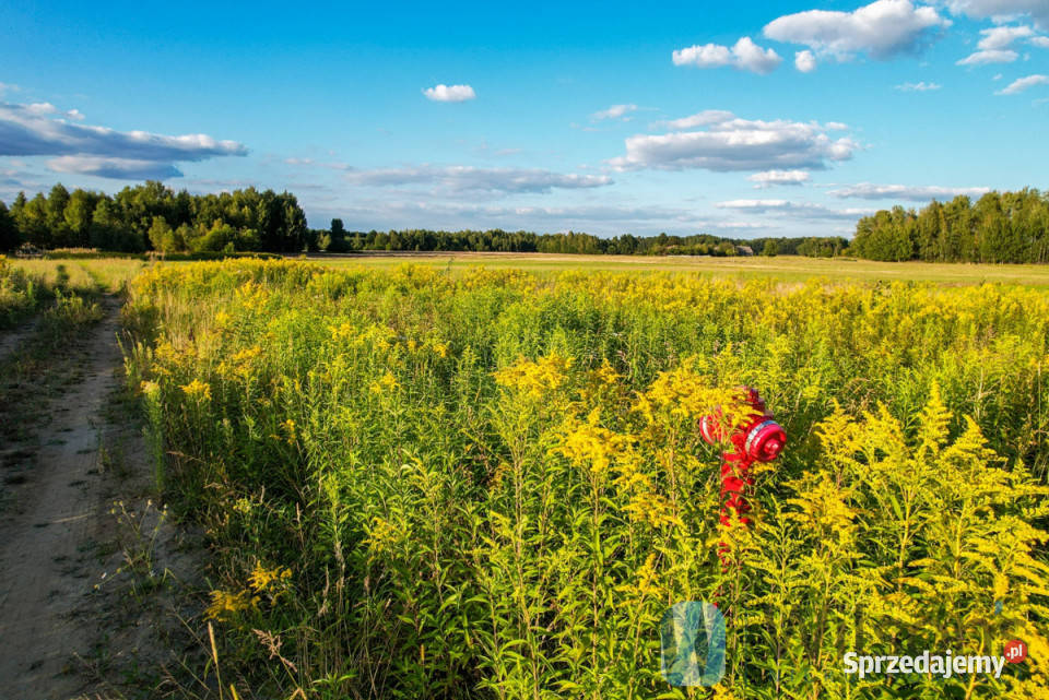 sprzedaży gruntu 876m2 Pilawa 33m Sprzedaż sprzedam