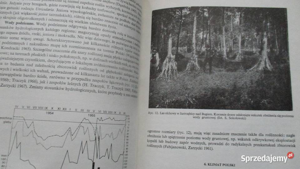 Szata roślinna Polski Szafer roślinnośćPolska Łódź