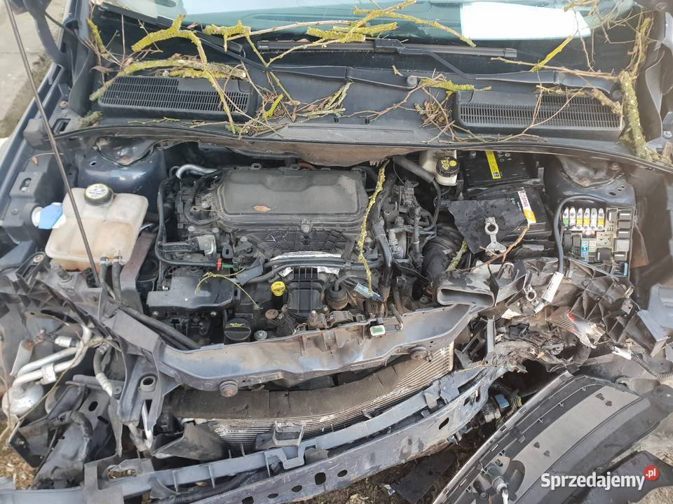 Ford Kuga 20 TDCI 2010r