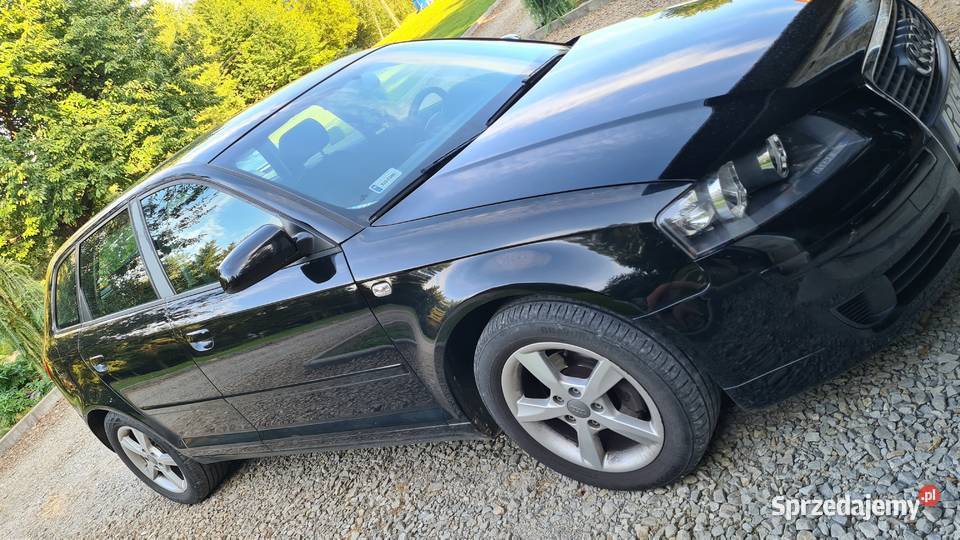 Audi A3 8P 16 benzyna