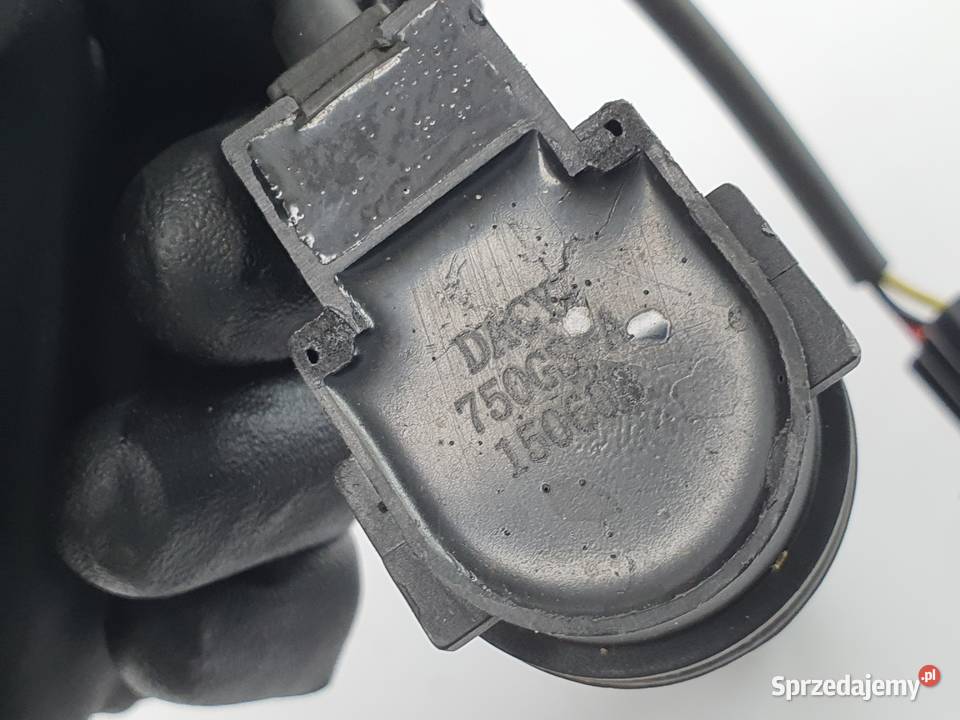 Cewka Fajka Benelli Bn 302 łódzkie sprzedam