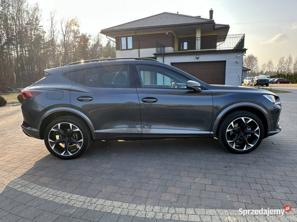 Cupra Formentor elektryczne lusterka Formentor Lipówki