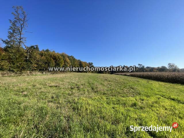 Grunt 15327m2 Syrynia