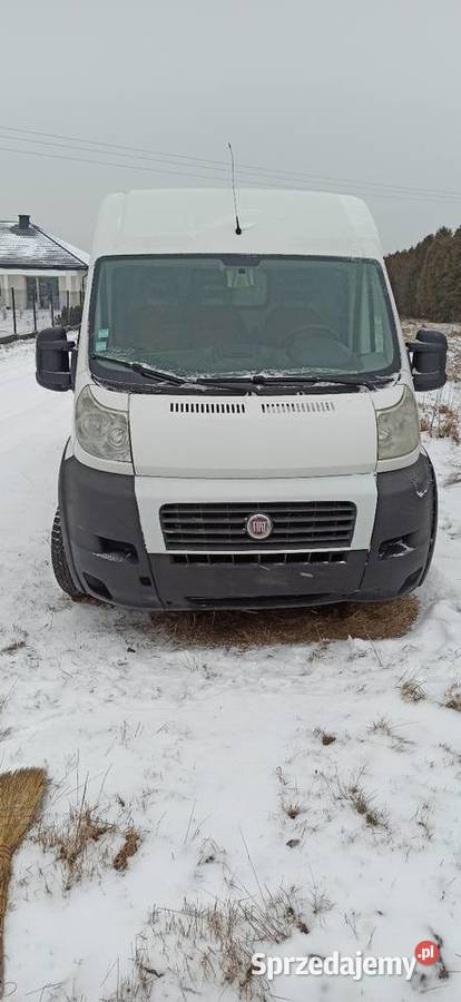 Fiat Ducato furgon Drzewica