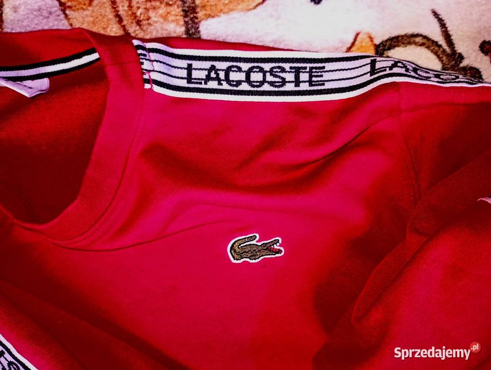Lacoste bluza lampas z logo L Swetry i golfy Kraków