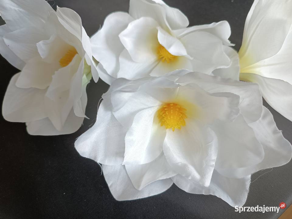 MAGNOLIA MINI VIP 61021 główki wyrobowe białe Siewierz