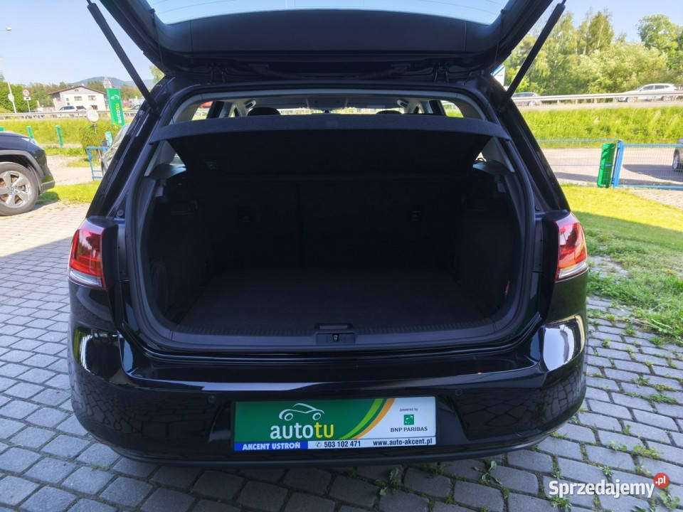 Volkswagen Golf Bezwypadkowy książka serwisowa 2 lakier metallic Golf Ustroń