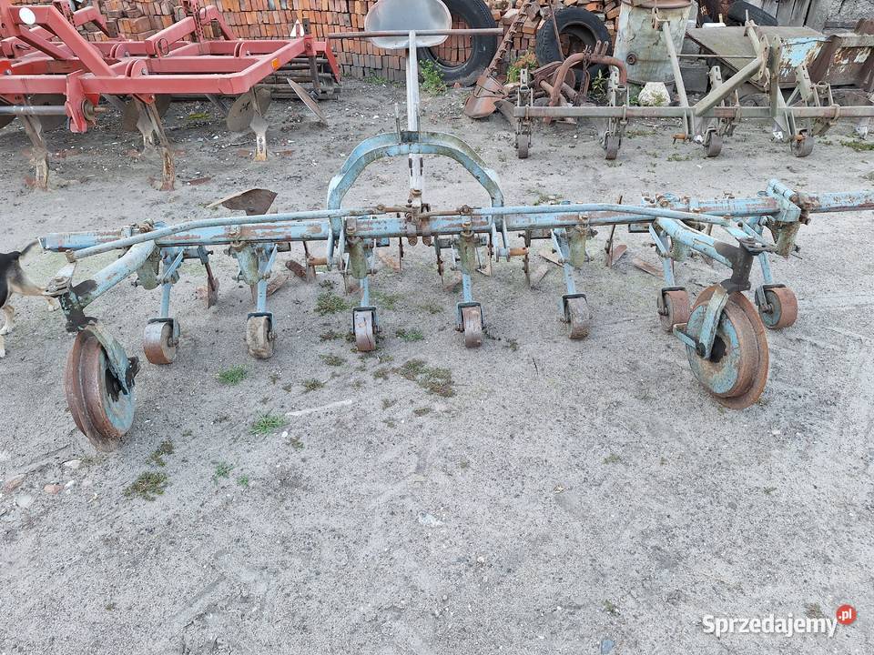 Opielacz do buraków 6 rzędowy Kaczanowo