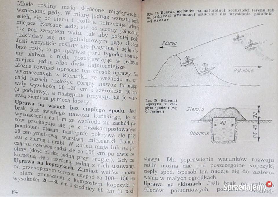 Melony i kawony Maria Kalicka lubelskie Chełm