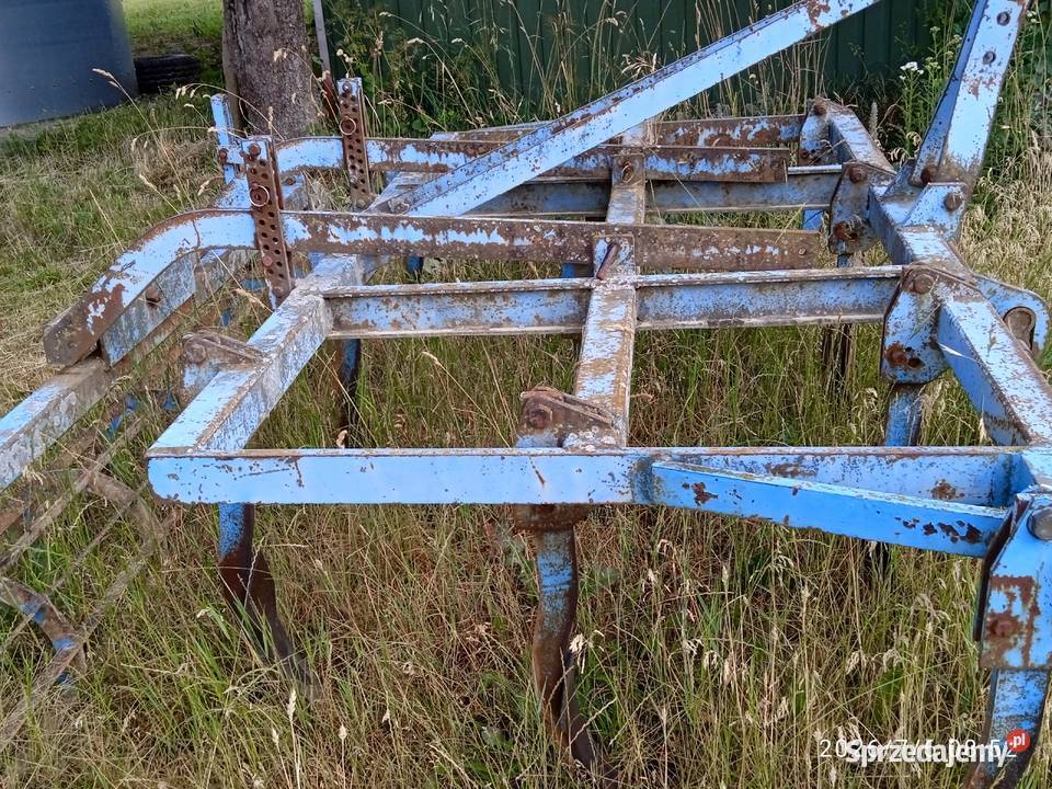 Ścierniskowkec lubelskie Latyczyn sprzedam