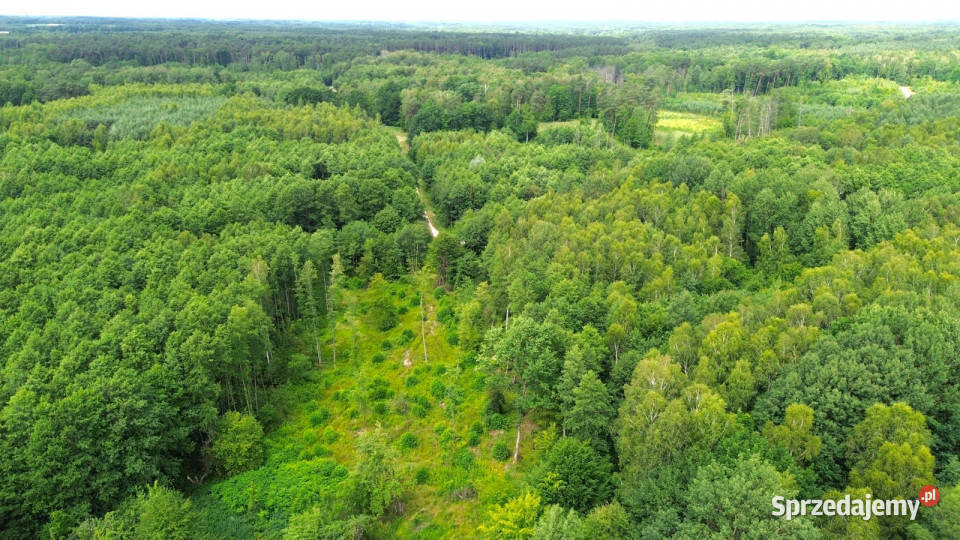 Grunt Stanisławów 21100m2