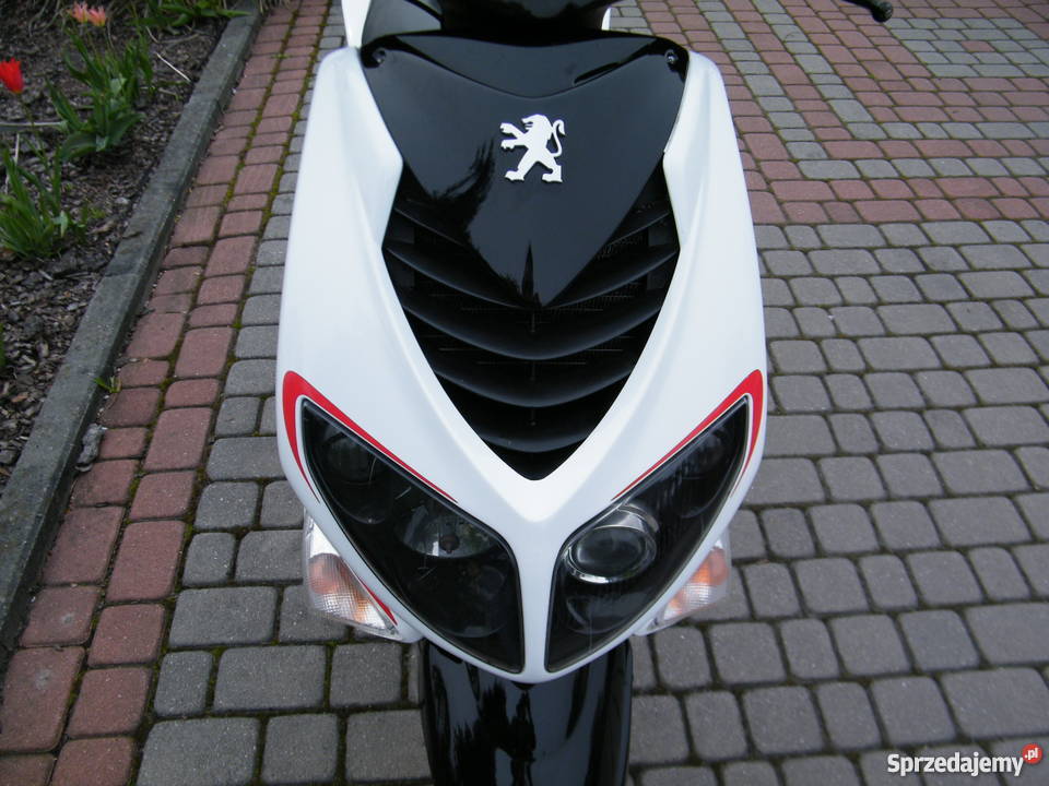 Peugeot Speedfight 2 7050 MHR śląskie Chybie