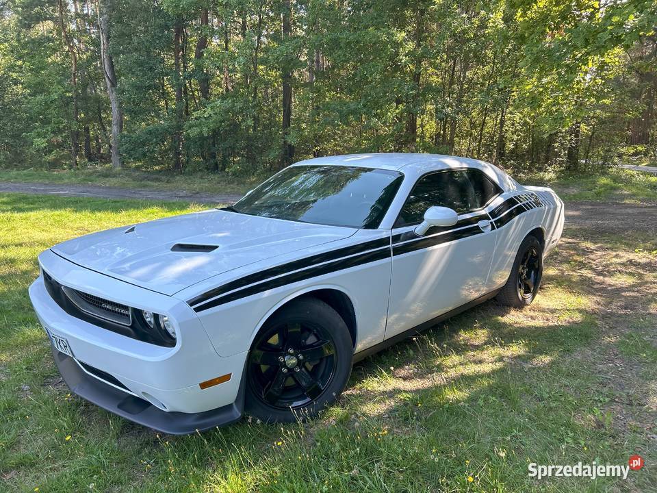 Dodge Challenger 36 l 308 podkarpackie Przewrotne
