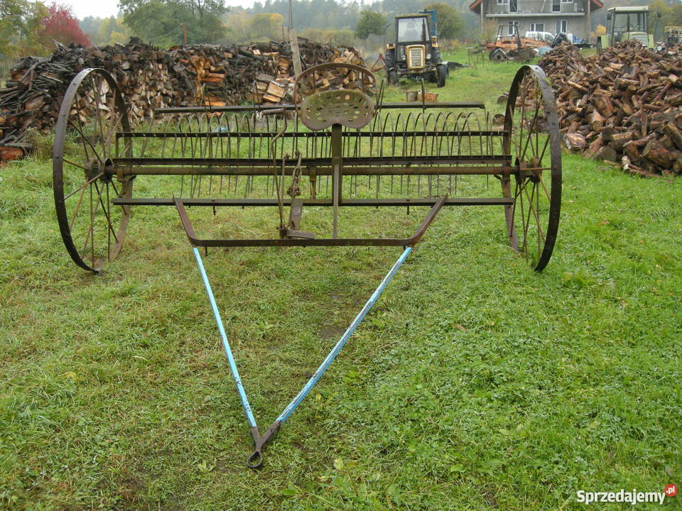 Zabytek dekoracja ozdoba ogrodowa zgrabiarka Dom i Ogród Danków sprzedam