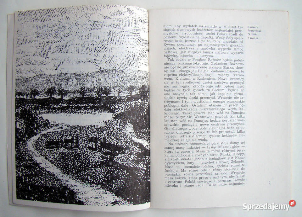 Ziemia Świętego Justa Ksawery Pruszyński Rok wydania 1984 Limanowa