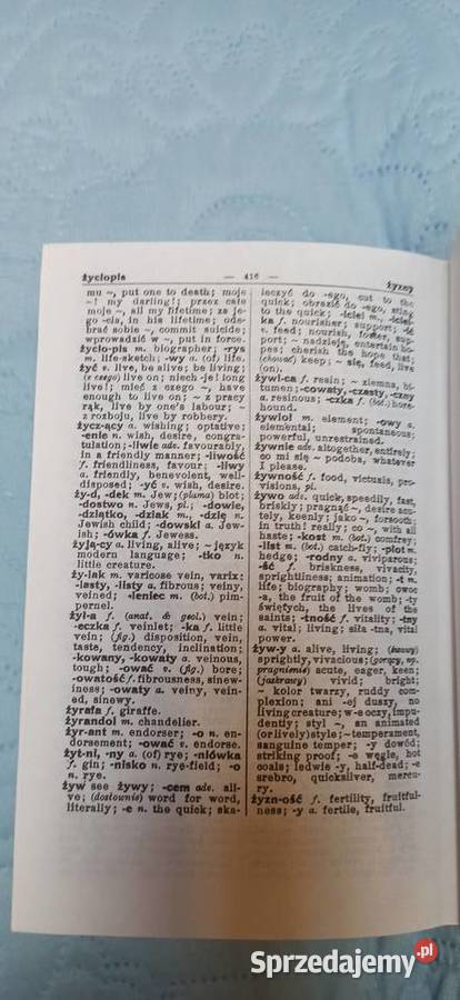 Słownik Angielskopolski Polsko Angielski Random śląskie Cieszyn