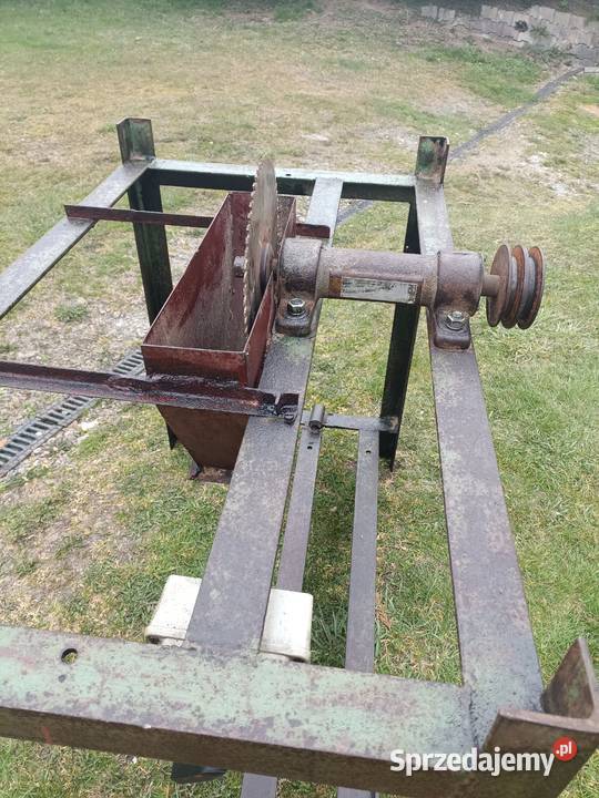 Krajzegapiła małopolskie Limanowa