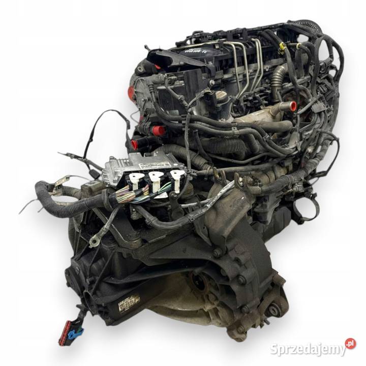 SILNIK G8DD Ford Focus II MK2 C C 16 TDCI 109 Chełm sprzedam