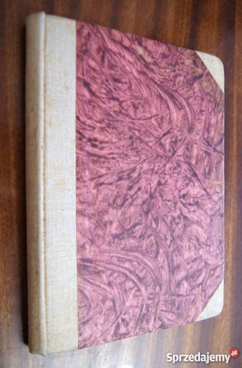 Józef Ignacy Kraszewski Dziecię Starego Miasta Parczew