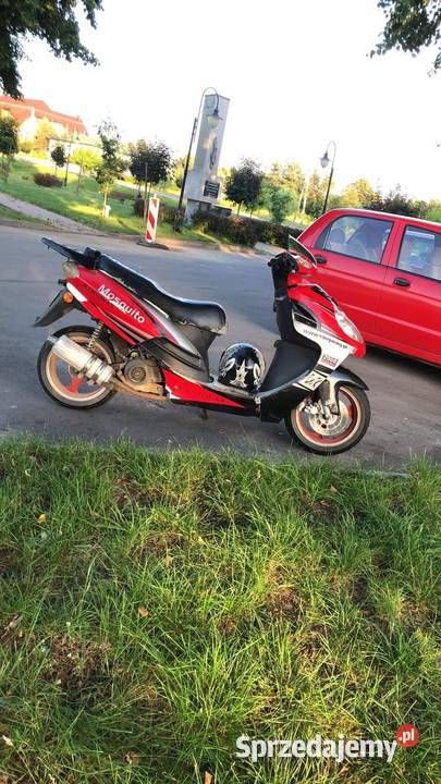 Skuter Kingway Mosquito 5075 Bukowski Las