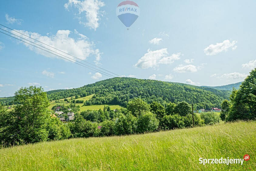 Działka leśna Rzyki
