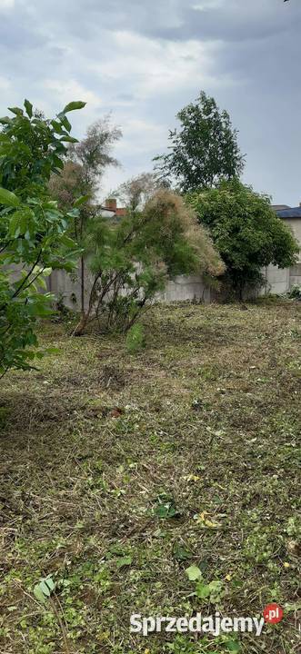 Działka Młodzieszyn