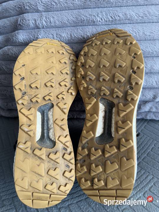 Męskie buty Adidas Terrex Free Hiker GTX Hiking pomorskie