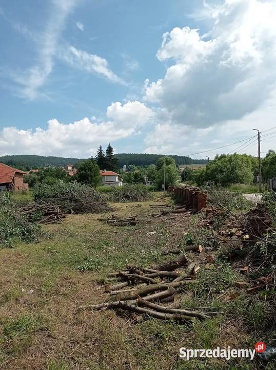 Wycinka drzew frezowanie pni karczowanie działek Karczowanie i usuwanie drzew Bielsko-Biała