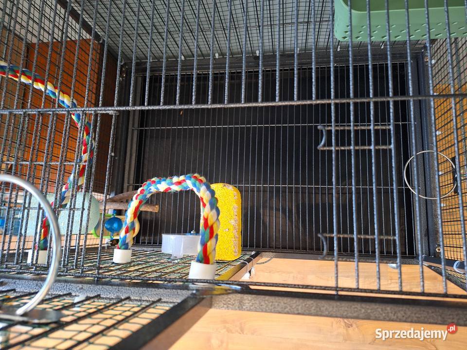 Klatka Yaheetech z podstawowym wyposażeniem Białystok