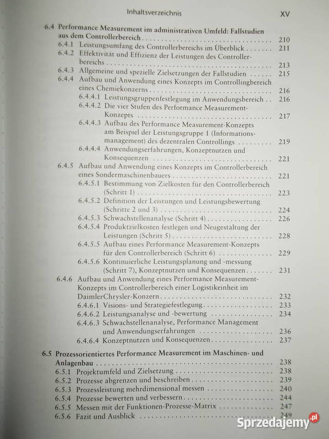 Performance MeasurementRonald Gleich Poznań sprzedam
