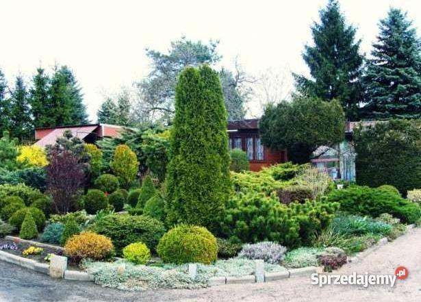 Działka rekreacyjna Łódź