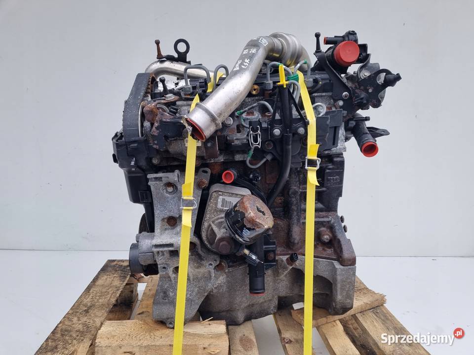 SILNIK KOMPLET Renault Modus 15 DCI 86 0512r osobowe Rudka