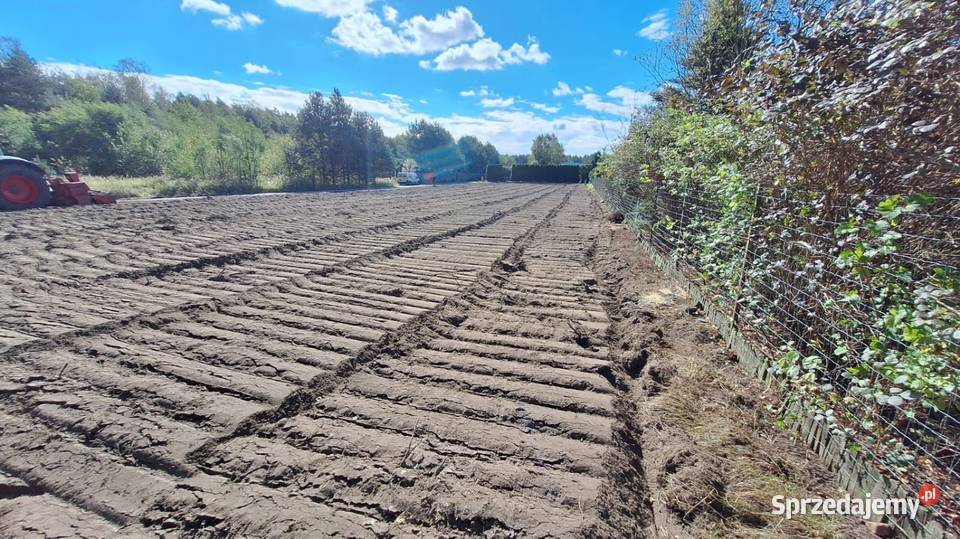 Mulczowania Wycinka drzewCzyszczenie działek Nowe Miasto Lubawskie