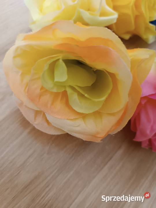 Róże rozwinięte 8 5902388316 AD BK kolory kwiaty Pozostałe Pozostałe Zagnańsk