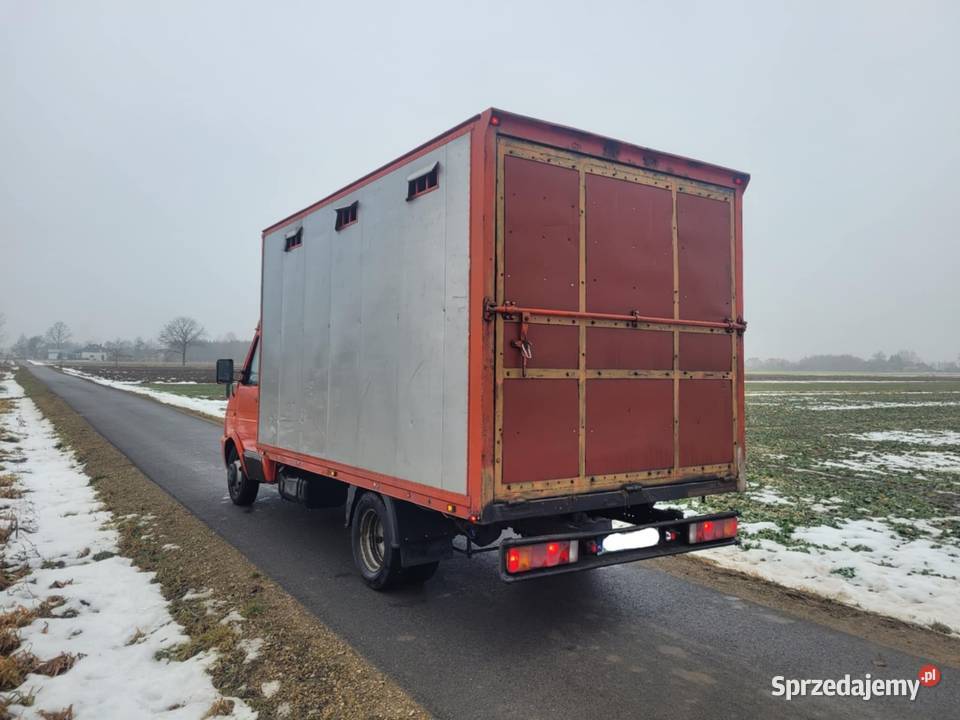 Iveco Daily 3510 1996r Koniowóz Do przewozu Iveco