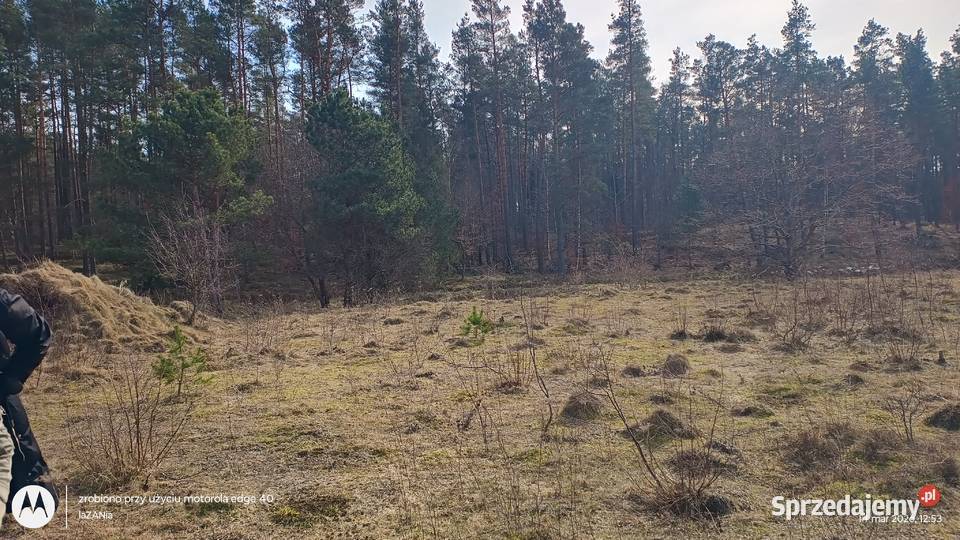 Działka budowlana wz na 2 domy Nieruchomości Domatówko