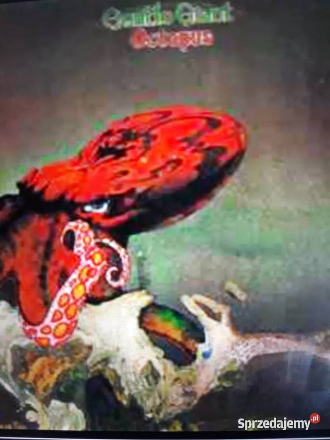Archiwum prog rocka GENTLE GIANT Ouctopus 1972 1 płyta Kultura i Rozrywka podkarpackie Rzeszów