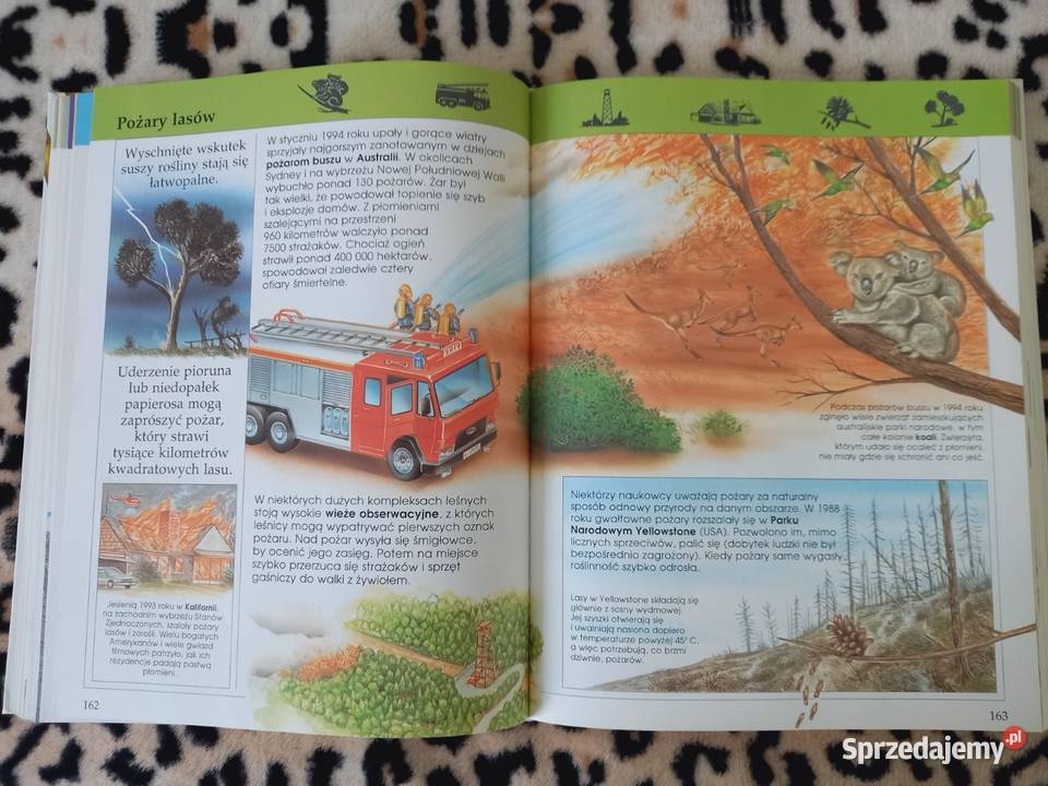 Encyklopedia ilustrowana dzieci Kraków